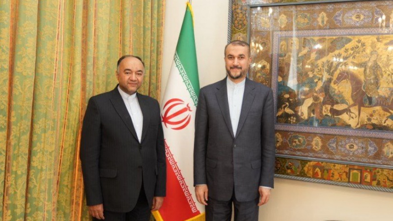 Iranpress: دیدار سفیر جدید ایران در امارات عربی با امیرعبداللهیان