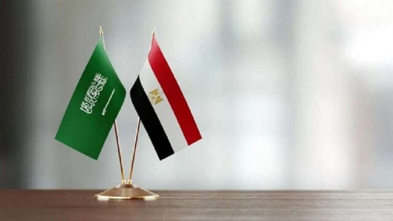 Iranpress: مصر و عربستان روابط راهبردی با یکدیگر دارند